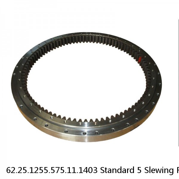 62.25.1255.575.11.1403 Standard 5 Slewing Ring Bearings