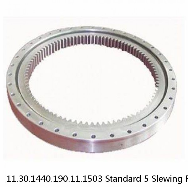 11.30.1440.190.11.1503 Standard 5 Slewing Ring Bearings