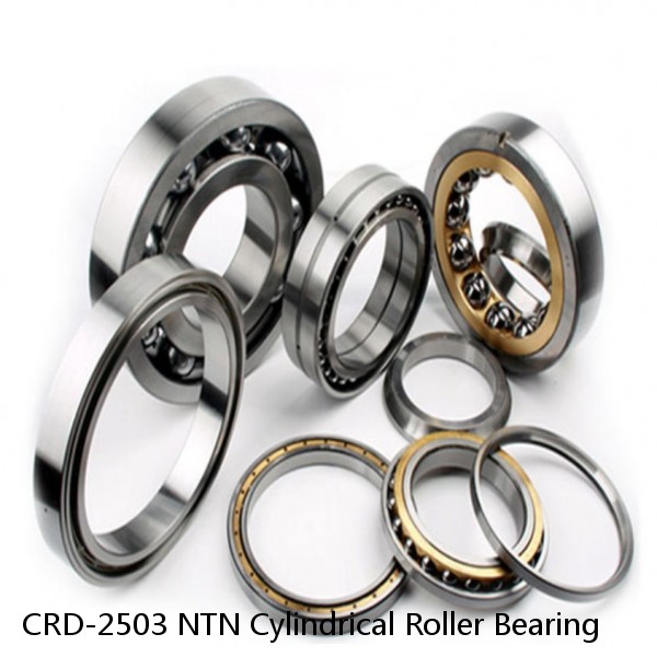 CRD-2503 NTN Cylindrical Roller Bearing