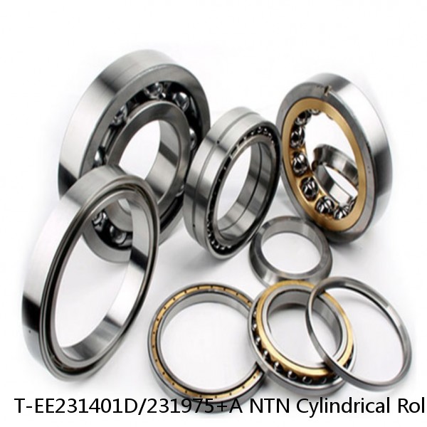 T-EE231401D/231975+A NTN Cylindrical Roller Bearing