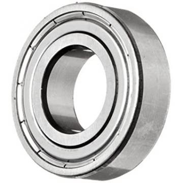 Famous SKF Auto Parts 6004 2RS/Zz Deep Groove Ball Bearing