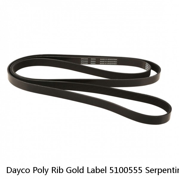 Dayco Poly Rib Gold Label 5100555 Serpentine Belt