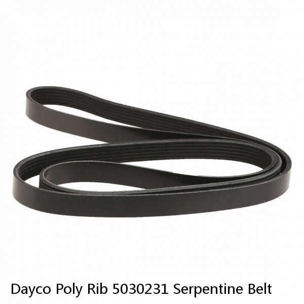 Dayco Poly Rib 5030231 Serpentine Belt